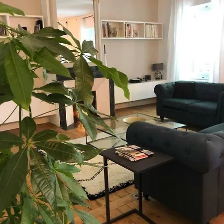 L'appartement Des Artistes Appartement Carcassonne